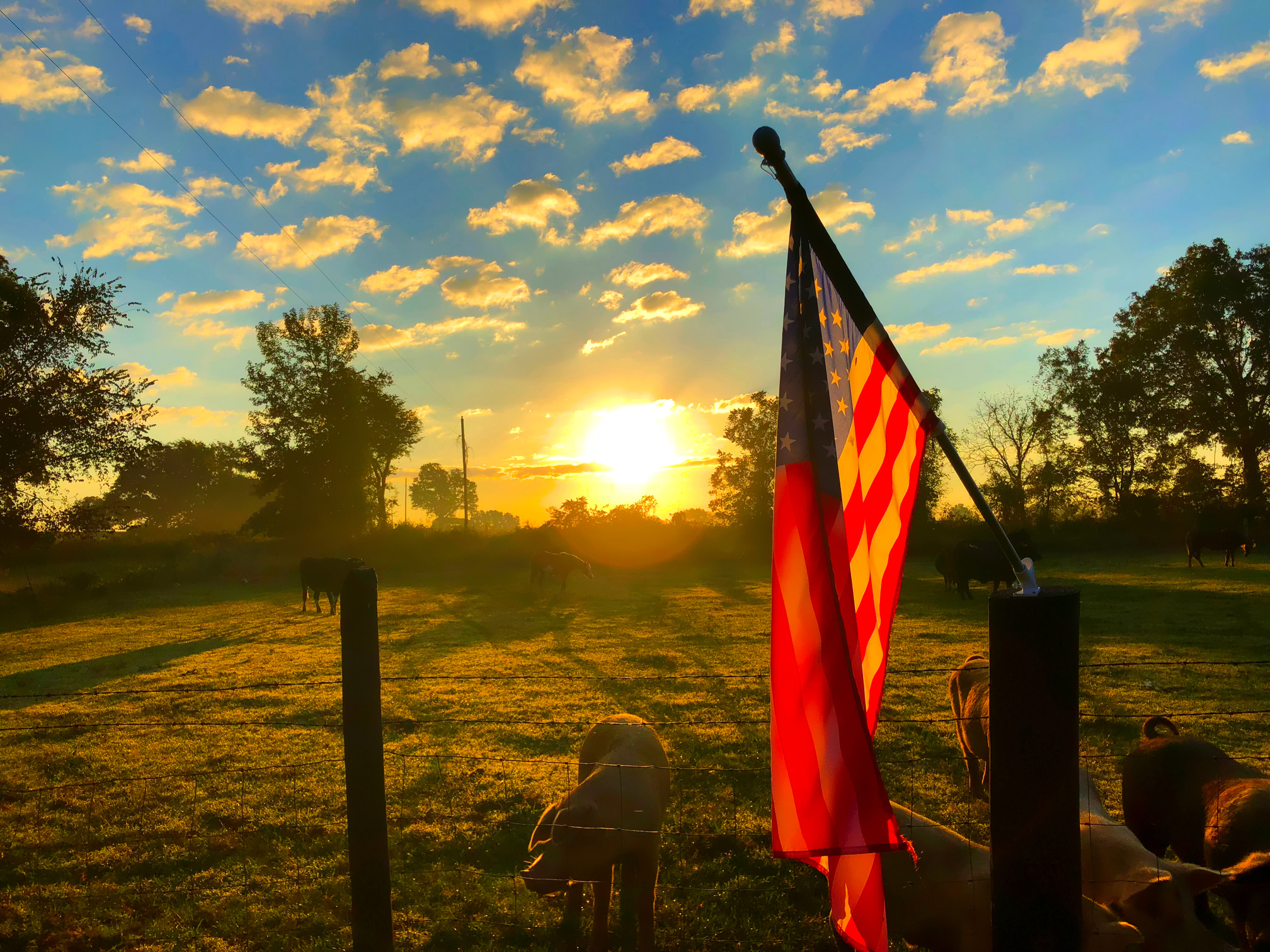 Morning in America